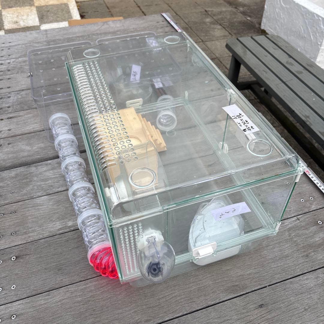 ハムスター　飼育セット　アクリル　小動物ケージ