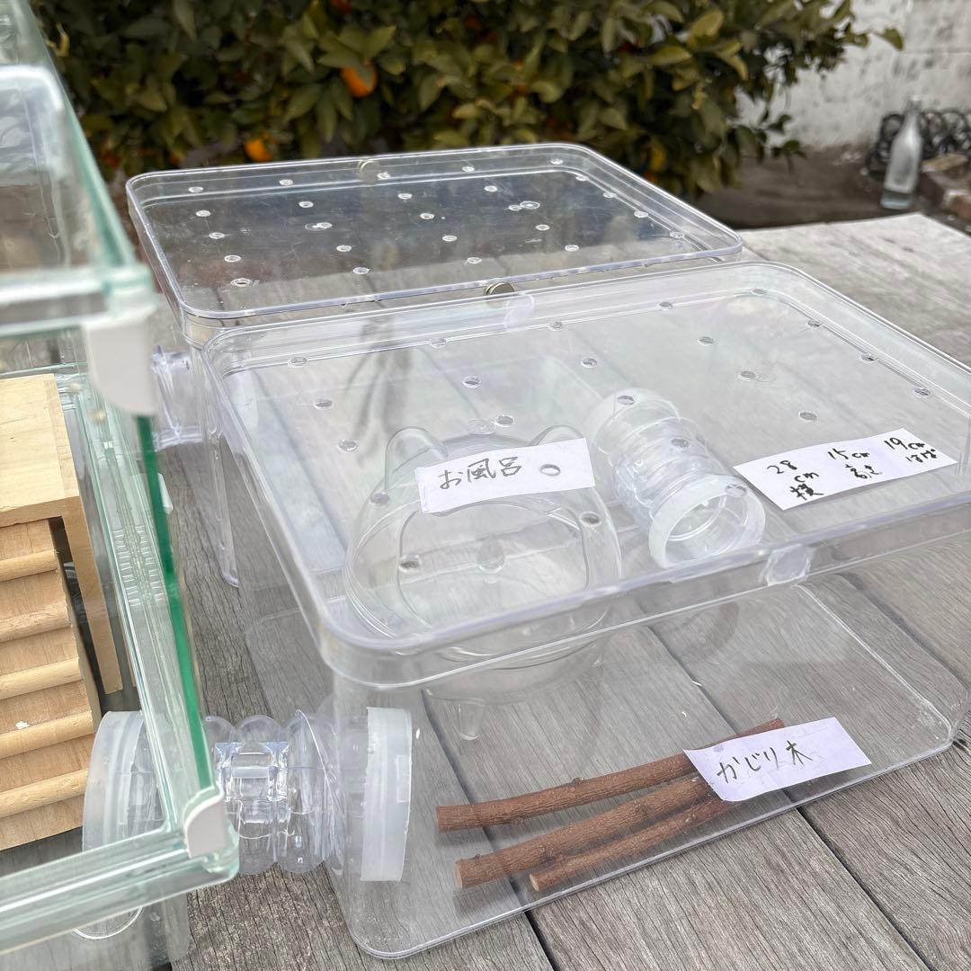 ハムスター　飼育セット　アクリル　小動物ケージ