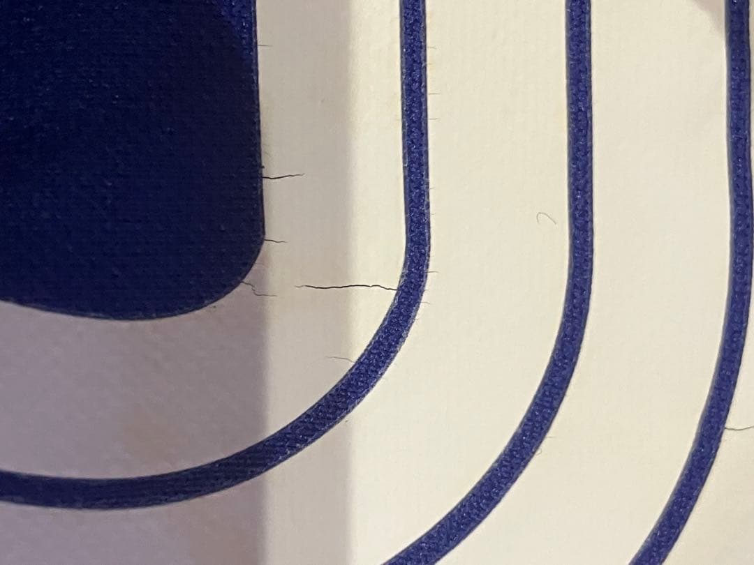 貴重　2006W杯　日本代表　ユニフォーム　中田英寿　Lサイズ