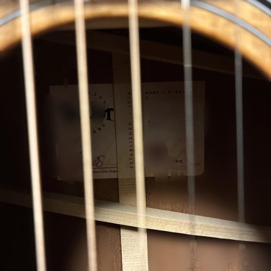 ギター Taylor317e