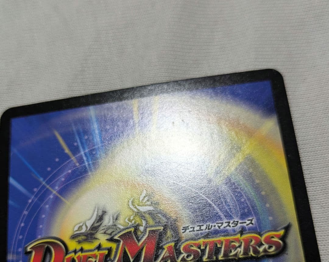 シャコガイル　b