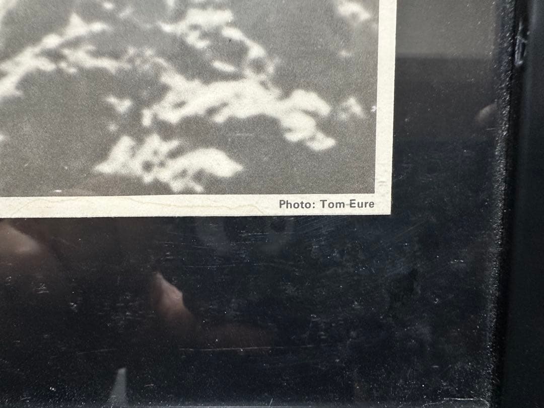 NUDE PUBLIC BIG SUR CALIF 60S ヴィンテージポスター