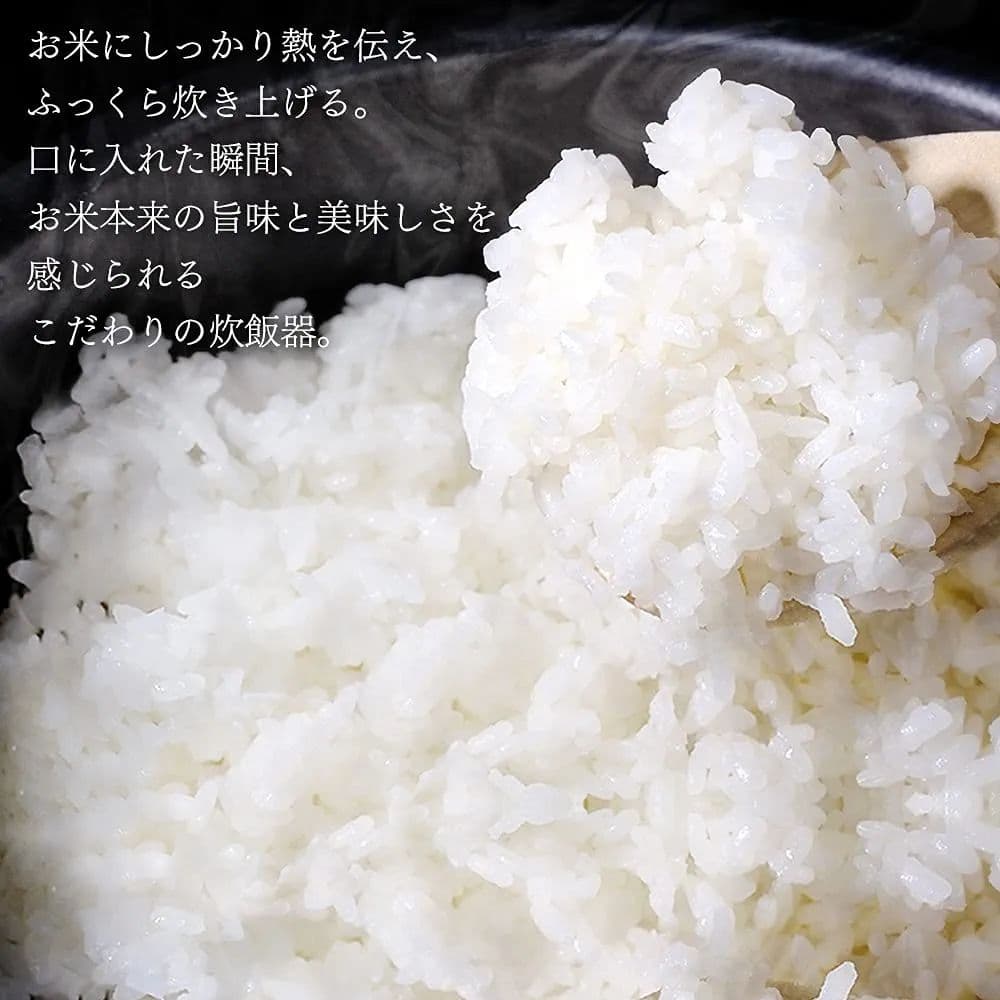 アイリスオーヤマ 炊飯器 1升炊きRC-ME10-B