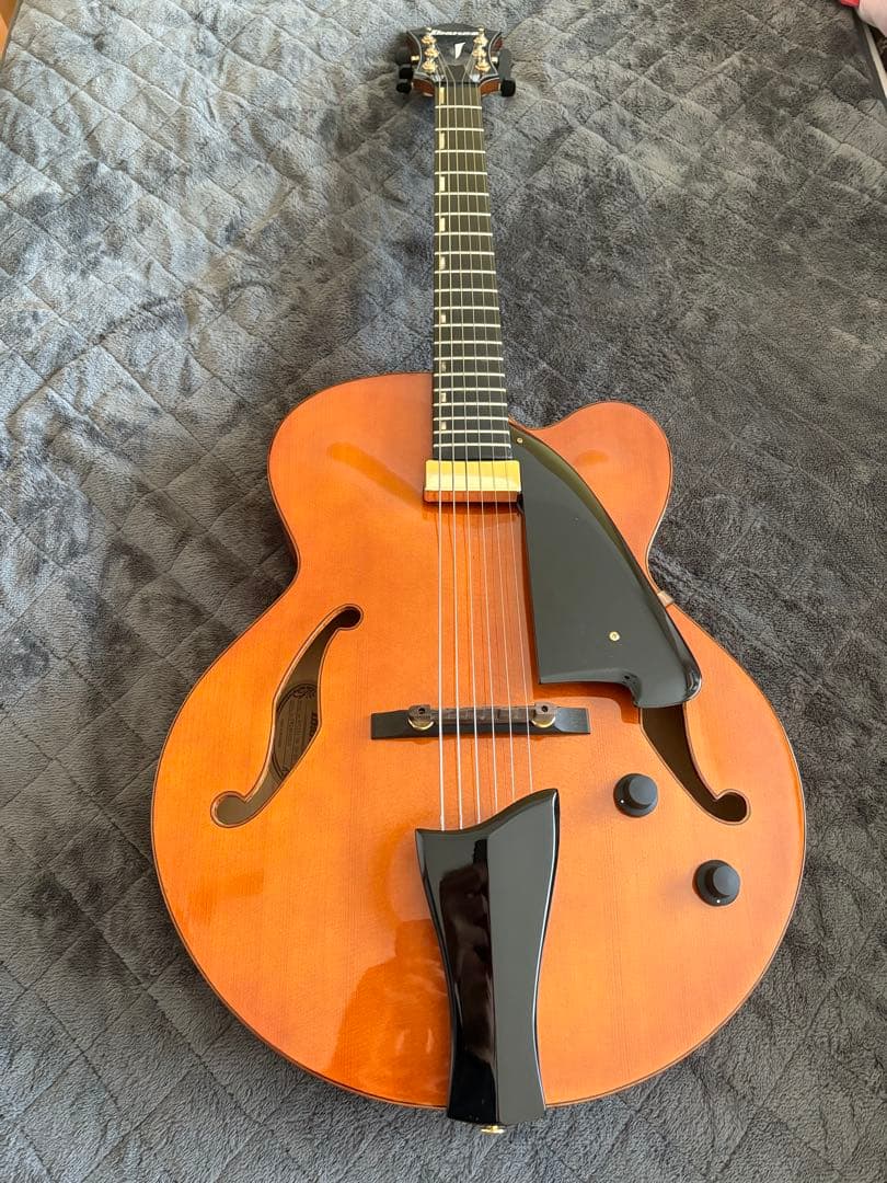 ibanez afc151 ハードケース付き