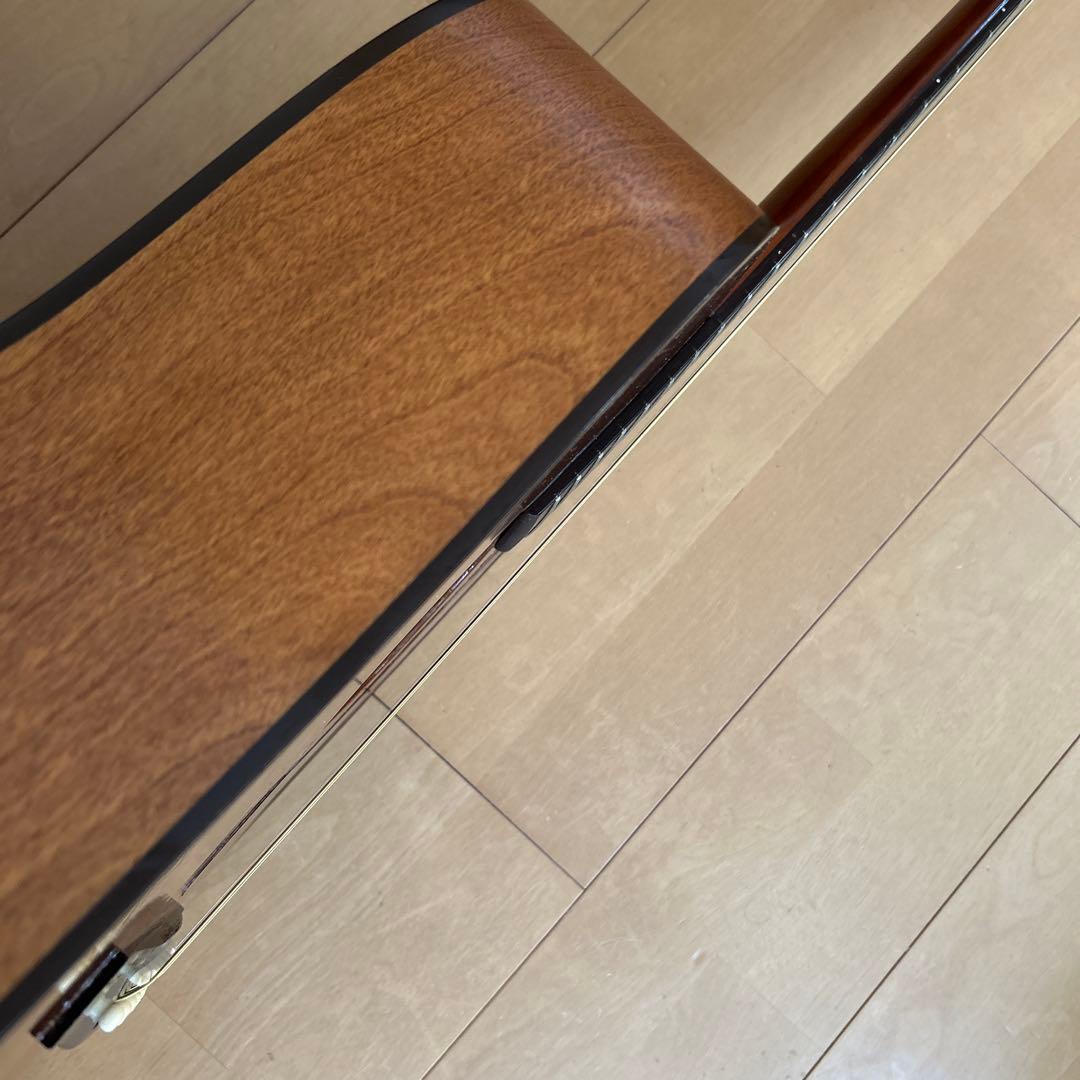 サイモン&パトリック モデル S&P6 シダー トップ単板