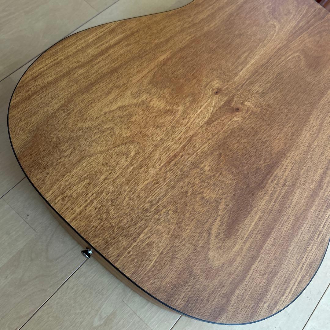 サイモン&パトリック モデル S&P6 シダー トップ単板