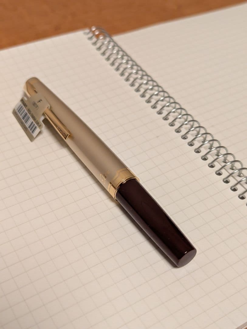 PILOT 万年筆 エリート95S FES-1MM-DR-F 細字ディープレッド