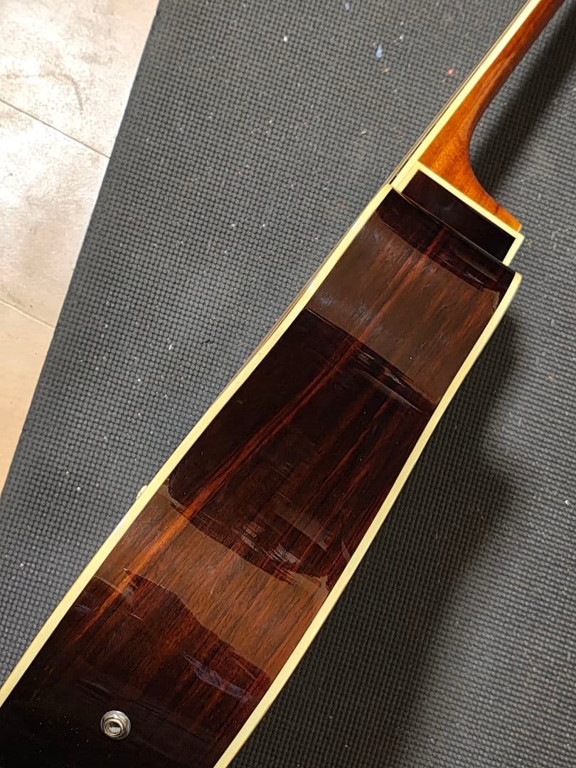 Morris S-20TS/エレアコ ソフトケース付