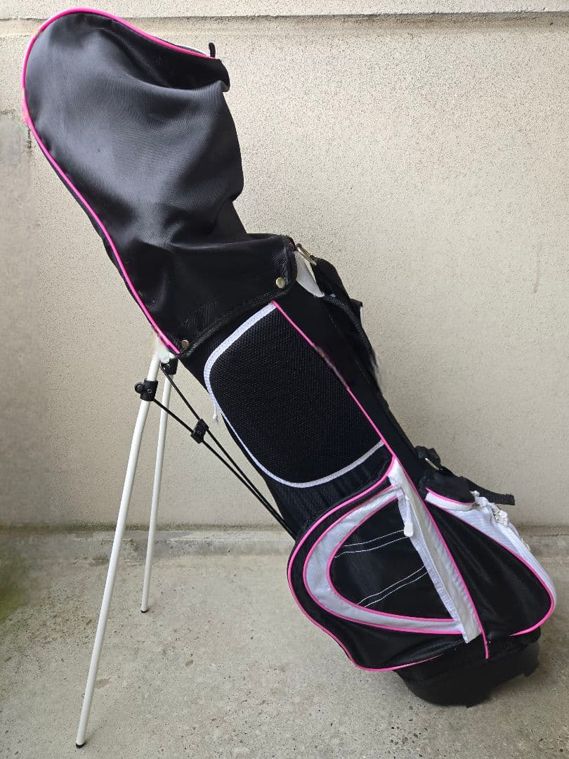 ワールドイーグル　FL-01 V2　レディースゴルフ10本セット　FLEX-L