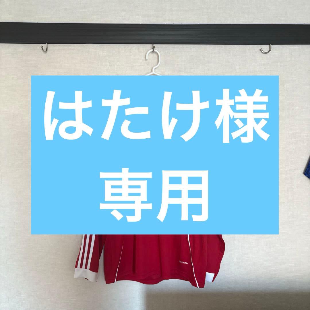 はたけ ファンダイク 2XL
