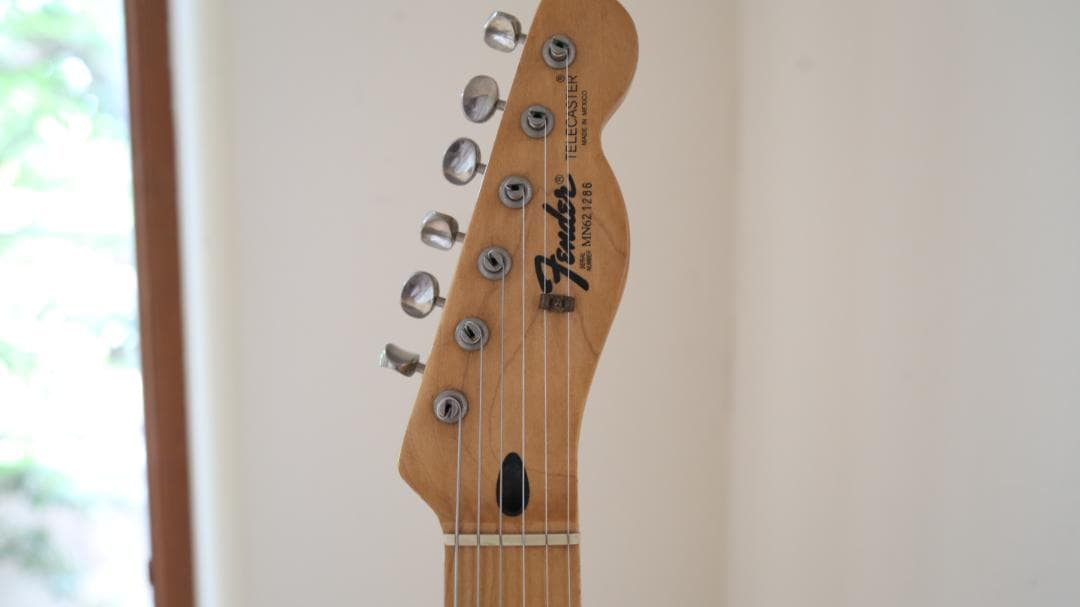 Fender MEX レリック仕様　アビゲイルイバラ　Telecaster