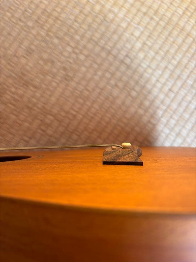 S.Yairi ミニギターYM-02 ソフトケース おまけ新品弦付き