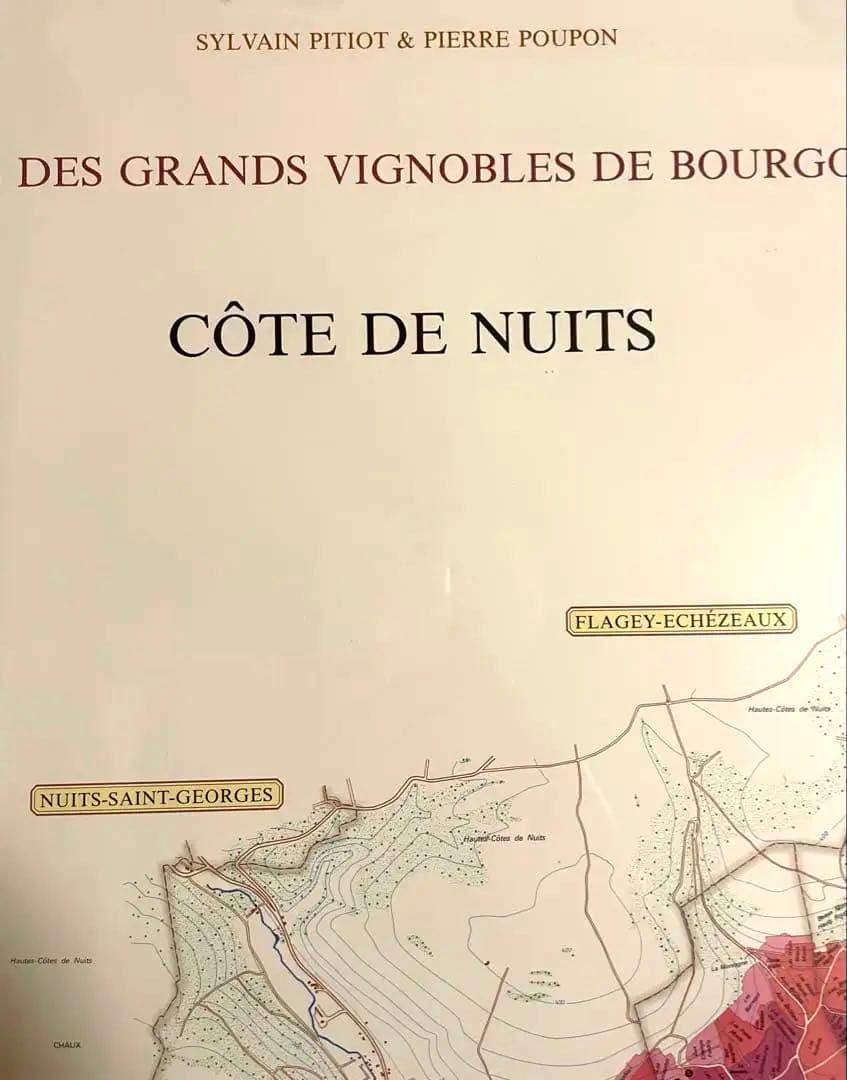 【大型額装美品】ブルゴーニュ（ワイン）南北の詳細な葡萄畑の地図