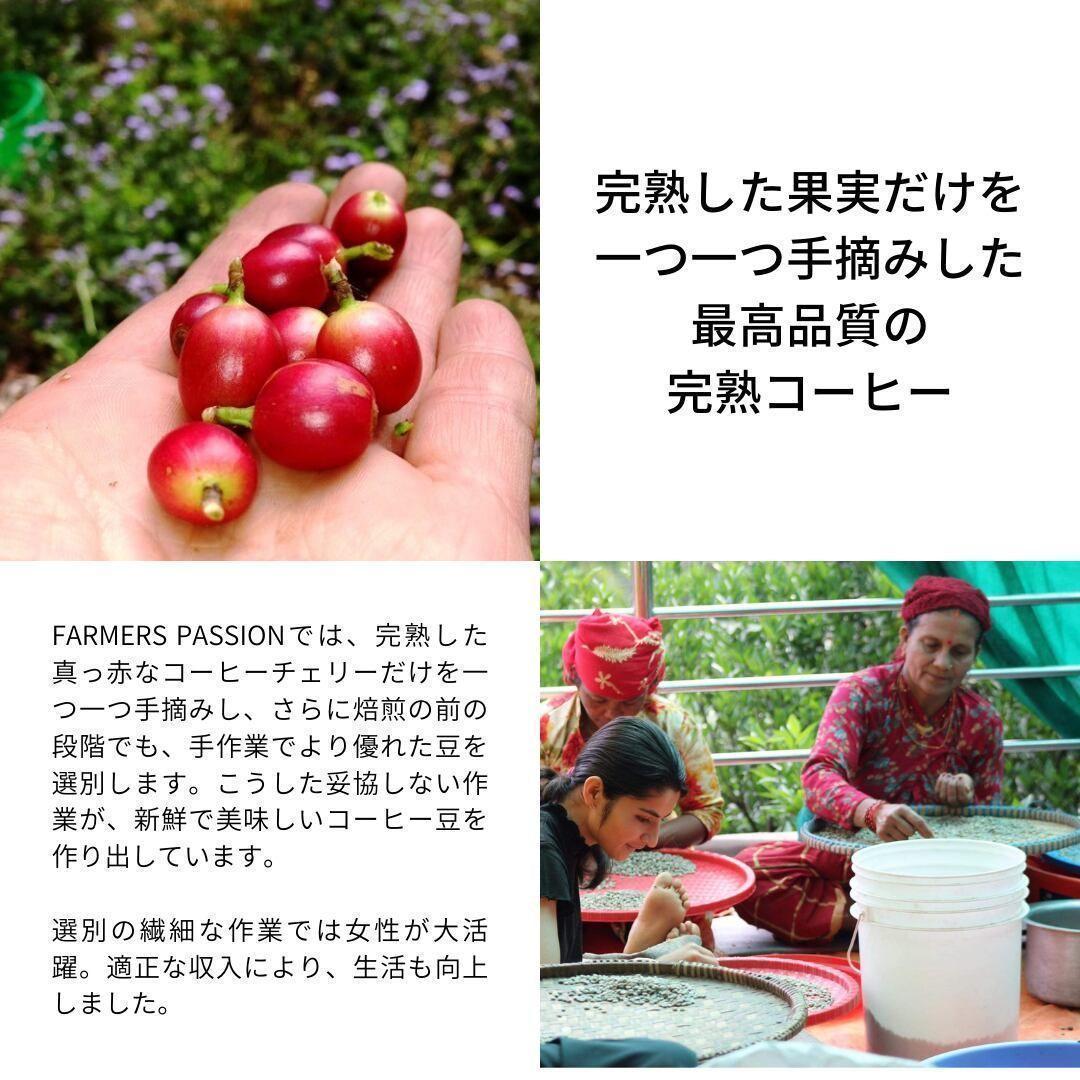 ★オーガニックコーヒー ダーク フェアトレード 1kg 粉 コーヒー豆 ネパール