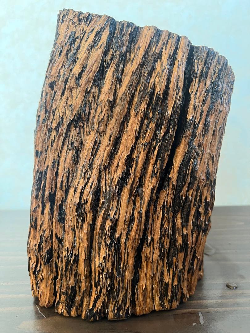 HX-008 流木　空洞　爬虫類　アクアリウム　アクアテラリウム　即沈水