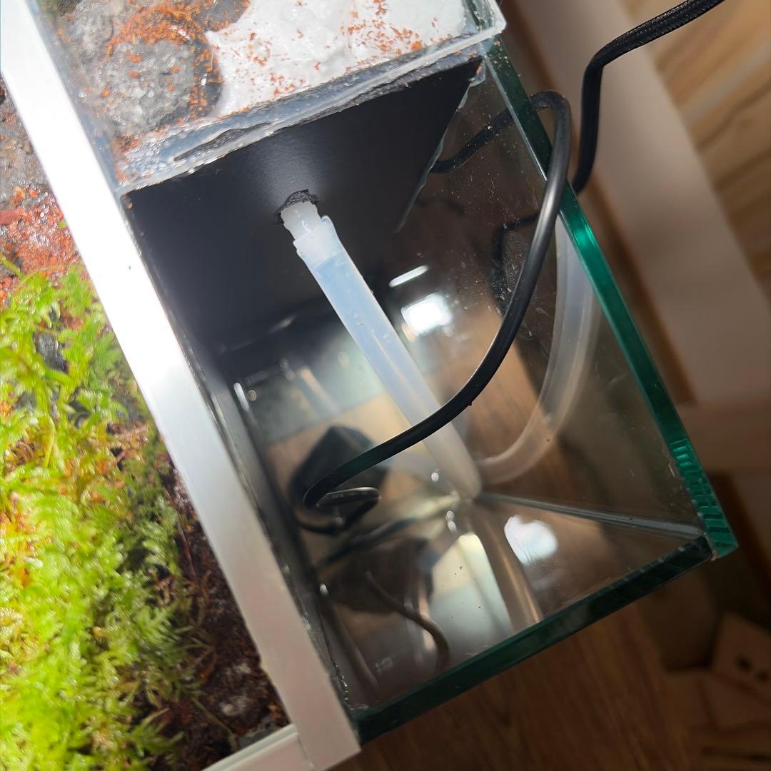 沢のあるアクアテラリウム