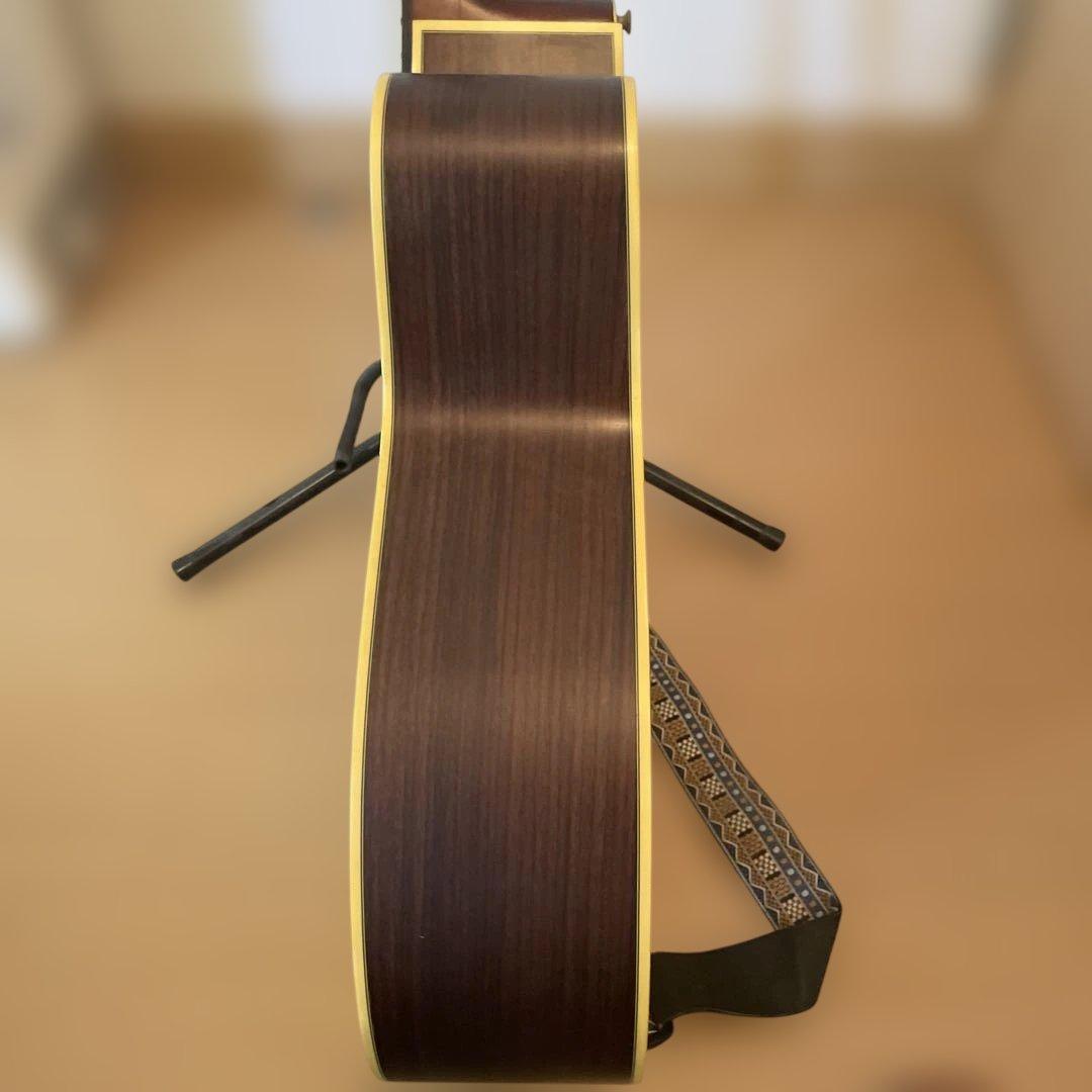 Takamine NPT-012BS アコースティックギター