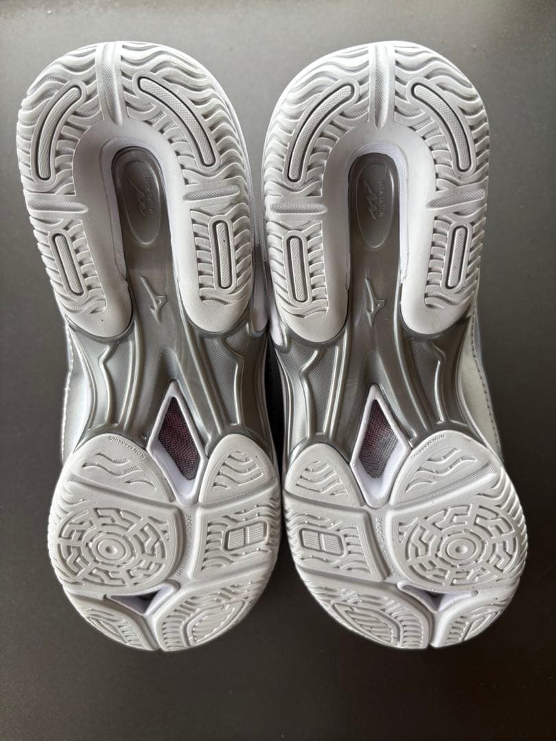 Mizuno ウェーブダイバース　LG4 シルバー　24.0cm