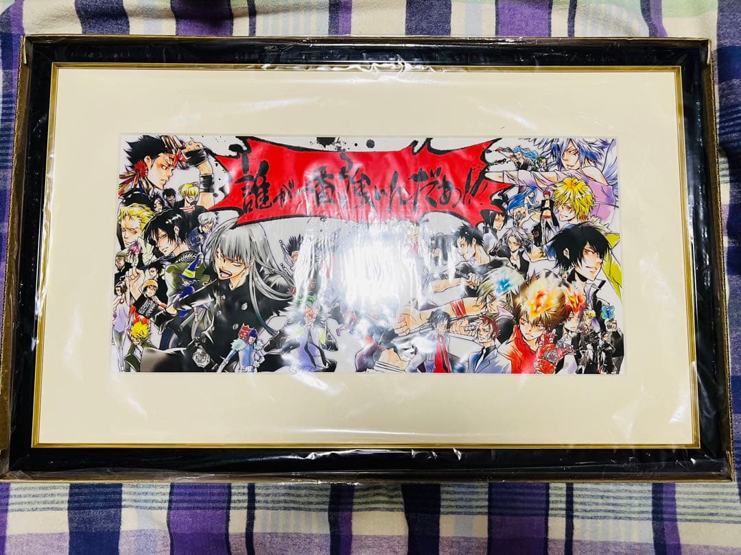 家庭教師ヒットマンREBORN!複製原画