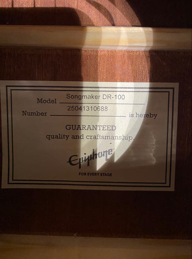 Epiphone DR-100 EB エボニー ハードケース付
