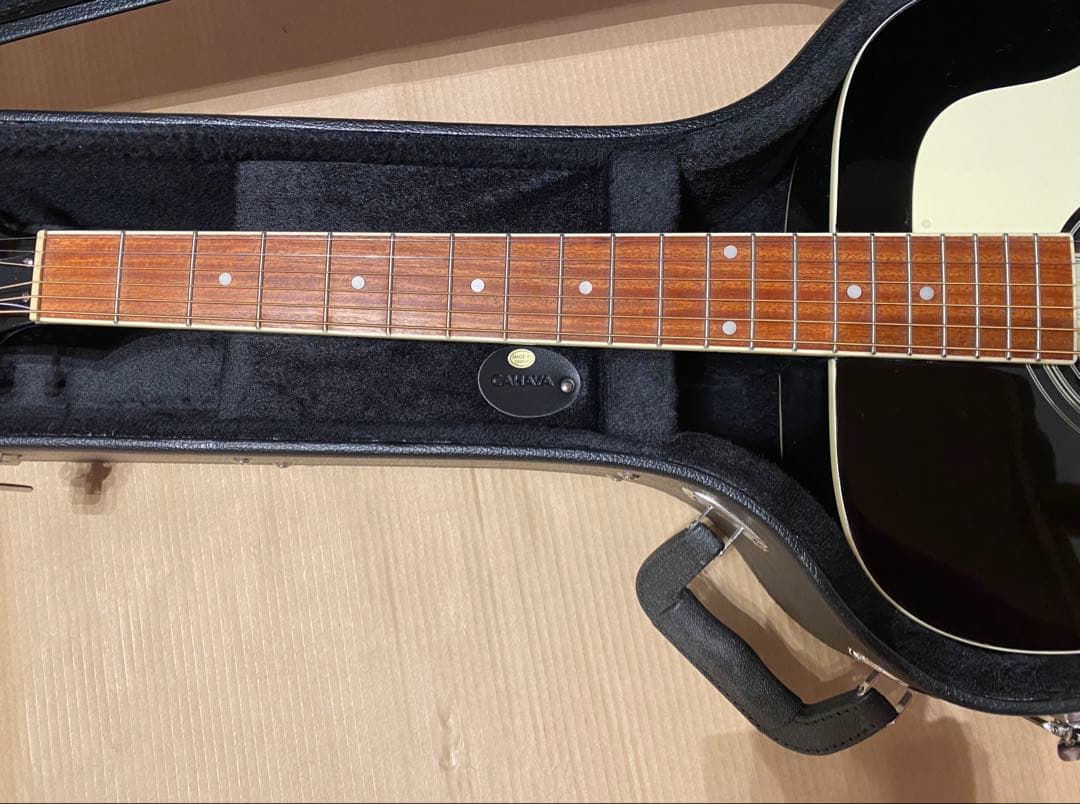 Epiphone DR-100 EB エボニー ハードケース付
