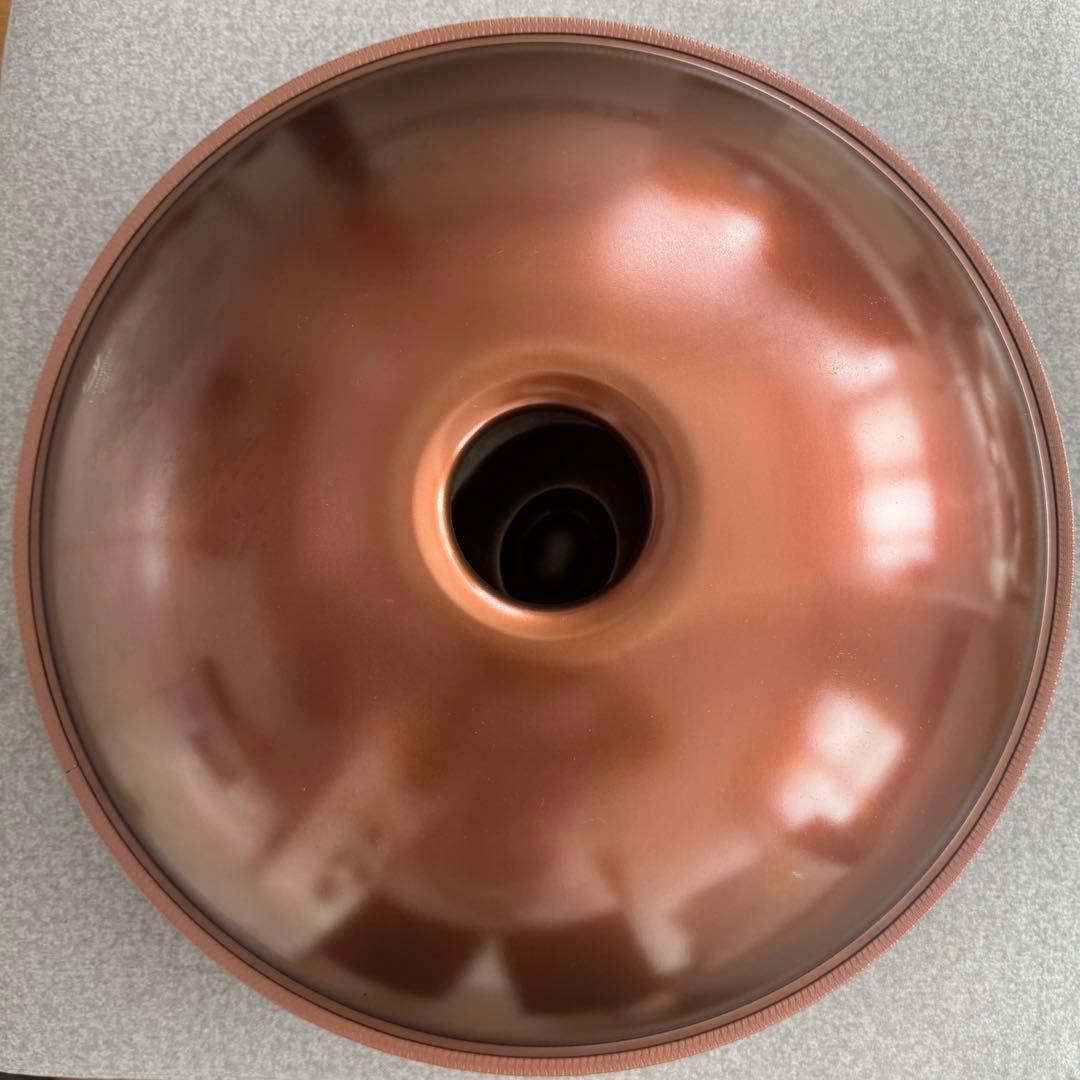 専用です　　　　　 LYハンドパンD kurd 10