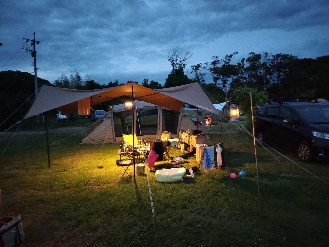 カナ　サバティカル　アルニカ