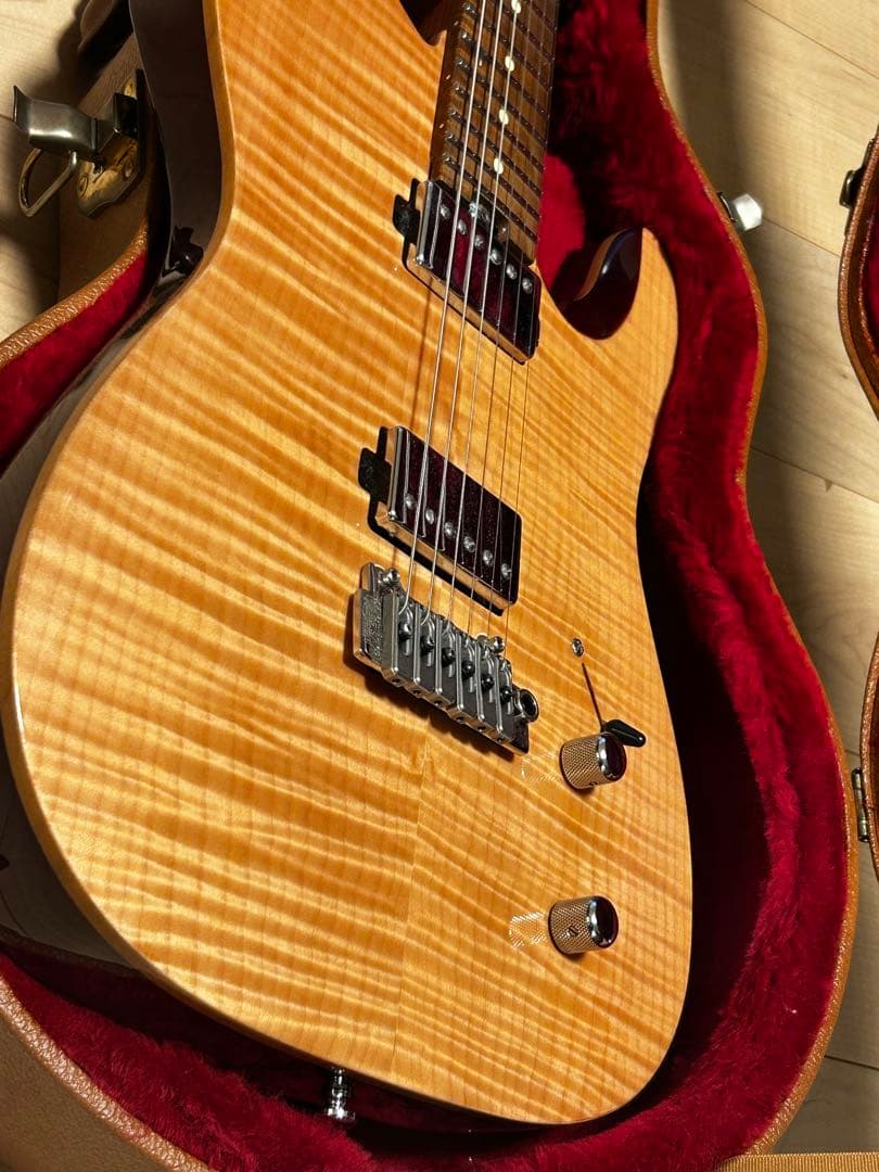 ギター Harley Benton Fusion-T HH Roasted