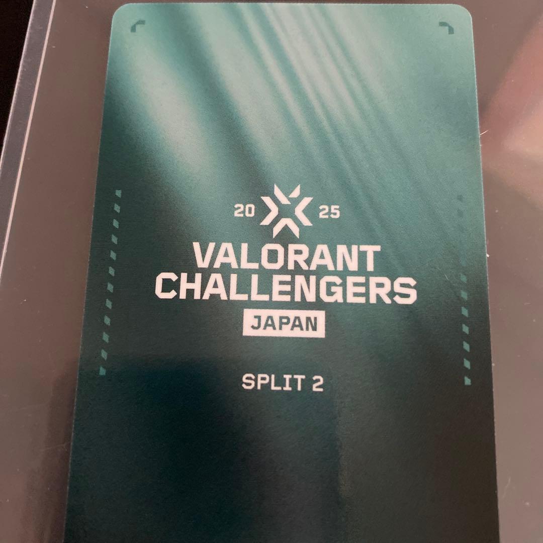 VCJ sp2 valorant プレイヤーカード FENNEL GON