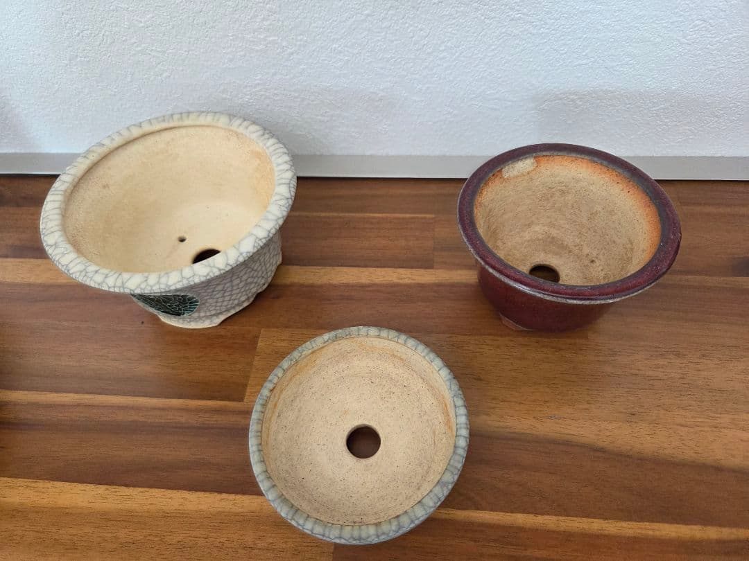 美巧　堀江美巧　盆栽鉢　鉢　盆栽　陶器鉢 5点セット