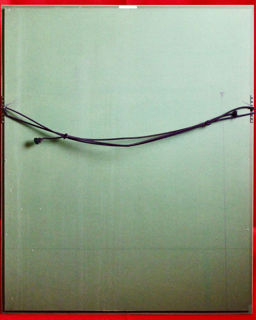 花乙女コレクション【中井智子　鏡の向こう】購入金額より60％お値引き！！