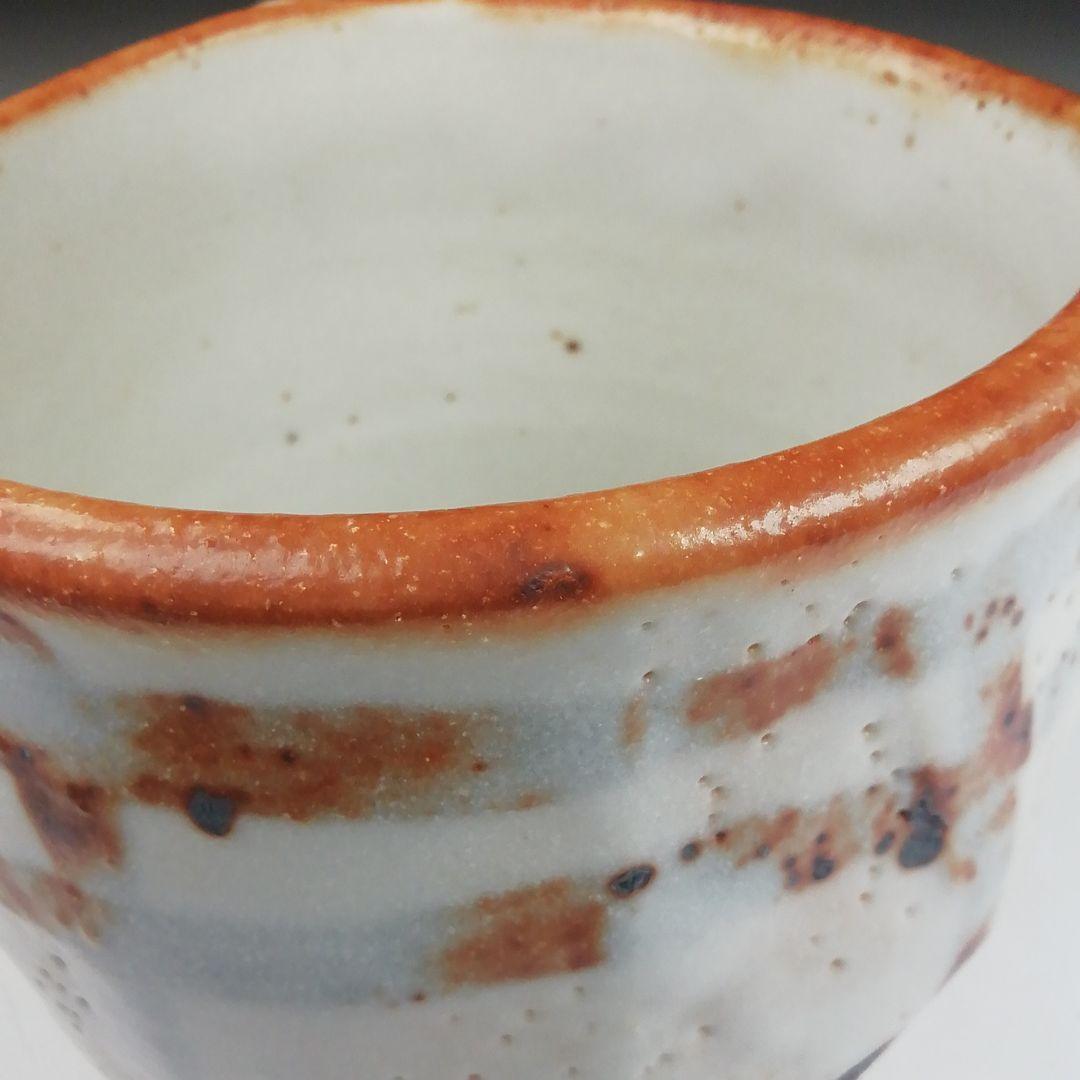 Ｔ５２０　茶碗　『志野茶碗』『卯花墻写』『菊泉窯　田中源彦 造』　共箱　茶道具