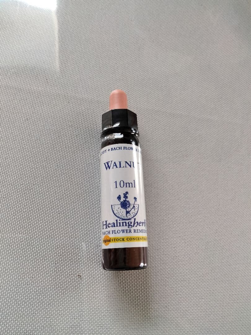 PON☆55様■ ホワイトチェストナット2 チコリ2 インパチェンス1