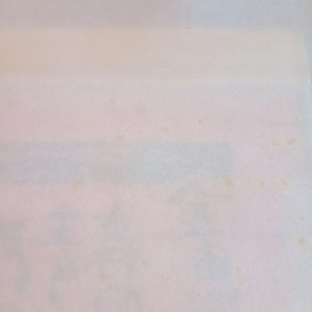 【希少作】 「金魚ネプタの柵」裏彩色　 棟方志功