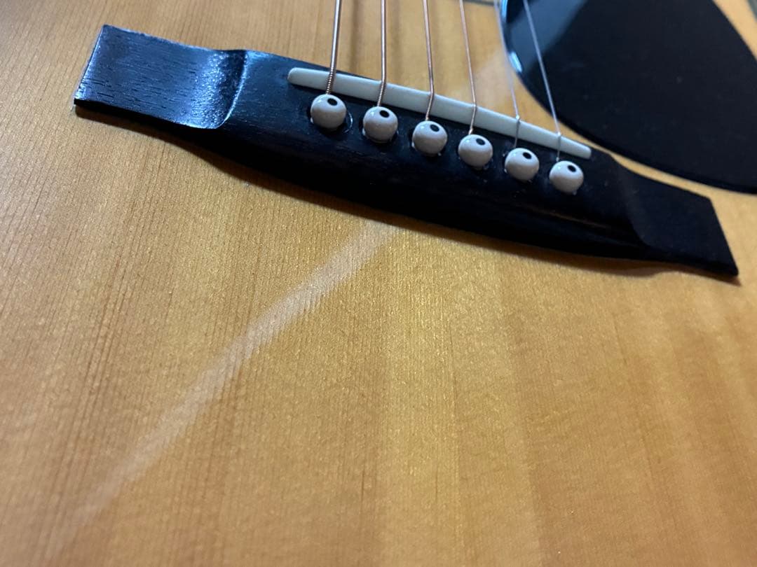 ProMartin w-200 縦ロゴ　アコースティックギター