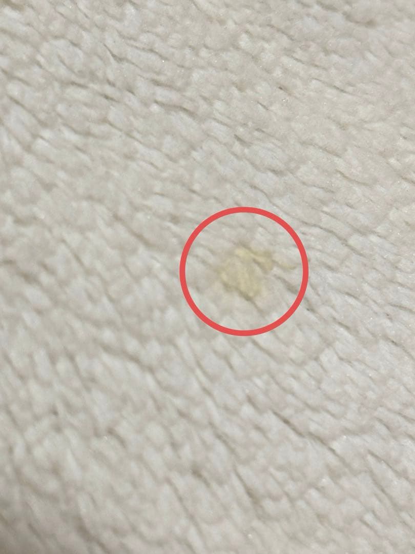 【値下げ相談可⭕️】まめゴマ　ぬいぐるみ くったりまめゴマ 特大 出回り極少品