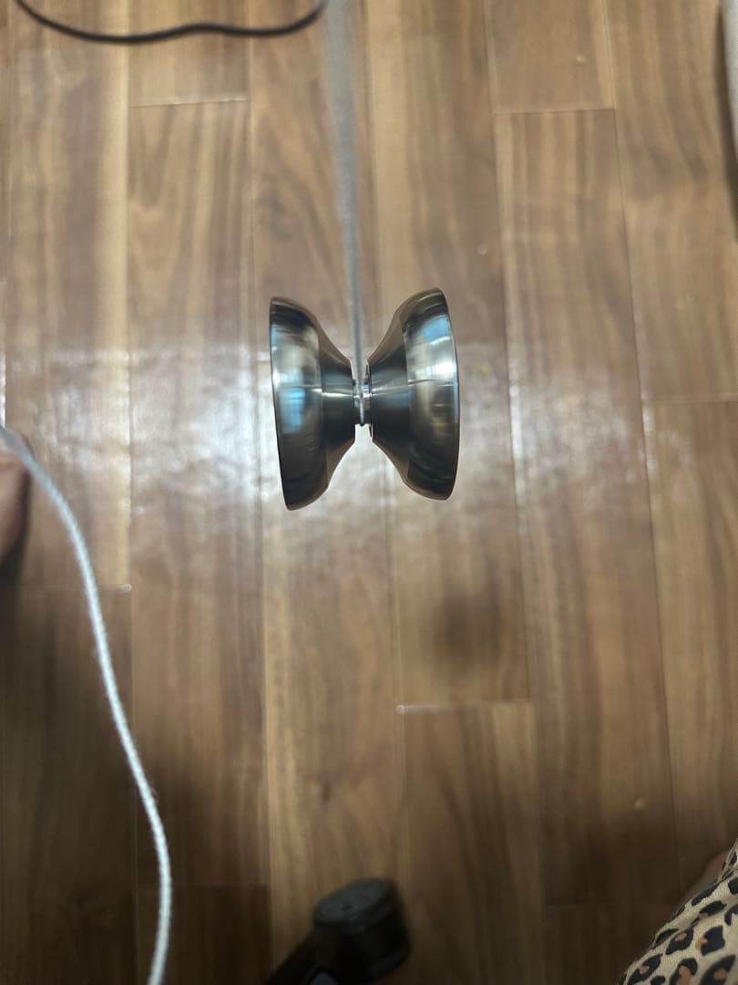 ハイドランジア-アキレギア&ヨーヨーリクリエーションスレイプニル