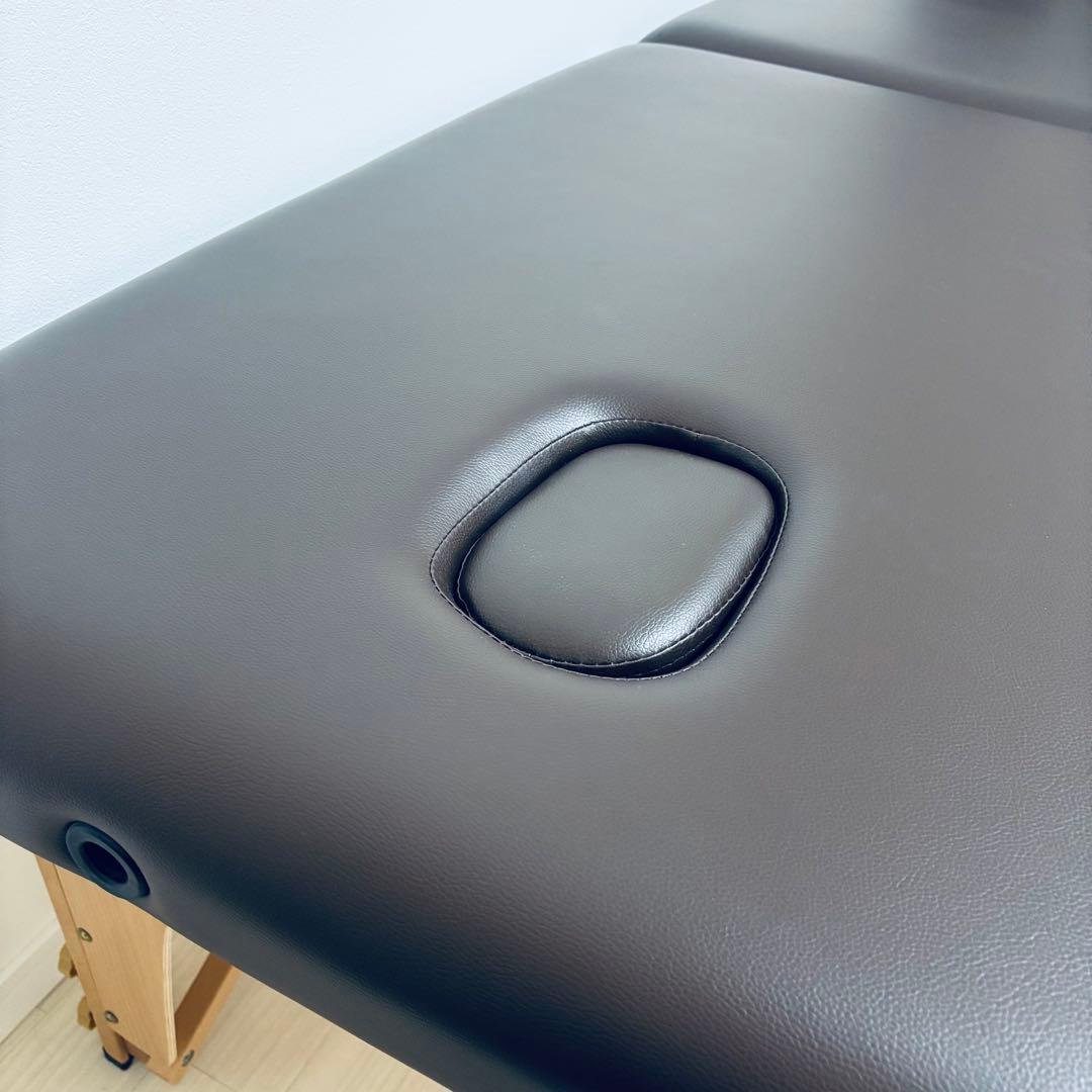 Stella ニューステラV 整体ベッド 折りたたみ式 キャリーバッグ付