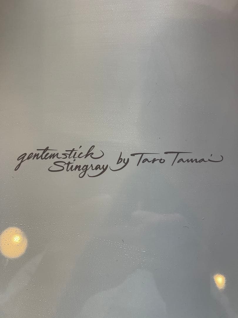 スノーボード gentemstick Stingray SG 55