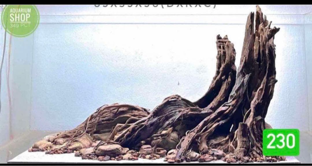 TTD 【⭐︎ Shouguang_Xishan 様⭐︎】【美品・数量限定】