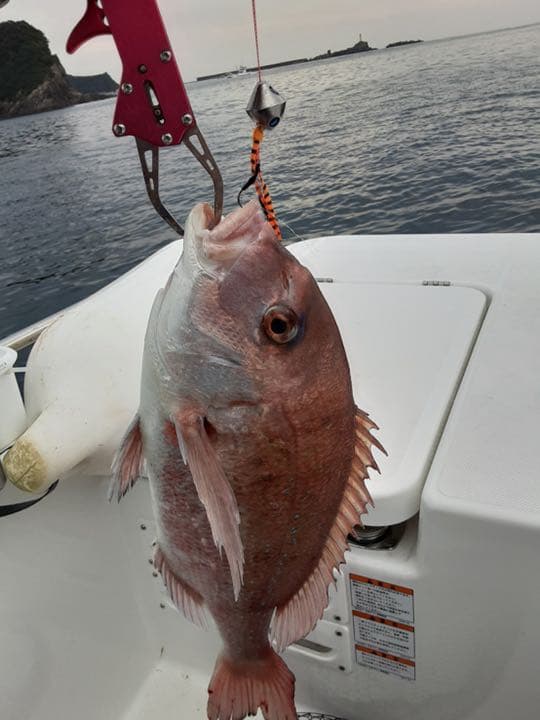 タイラバヘッド  タングステン　新色