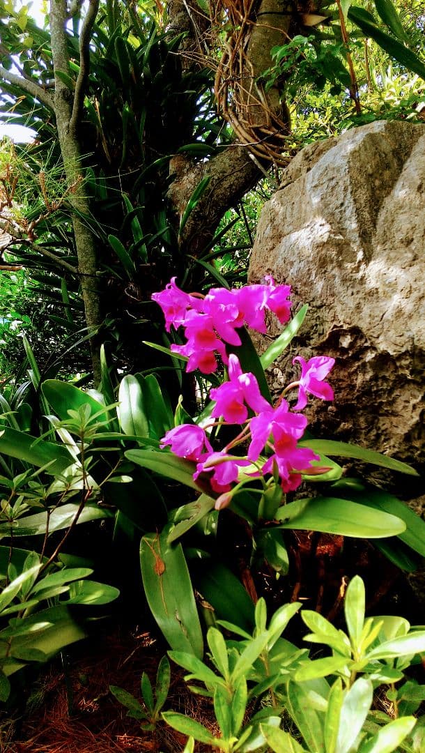 【金城次郎】 魚紋徳利