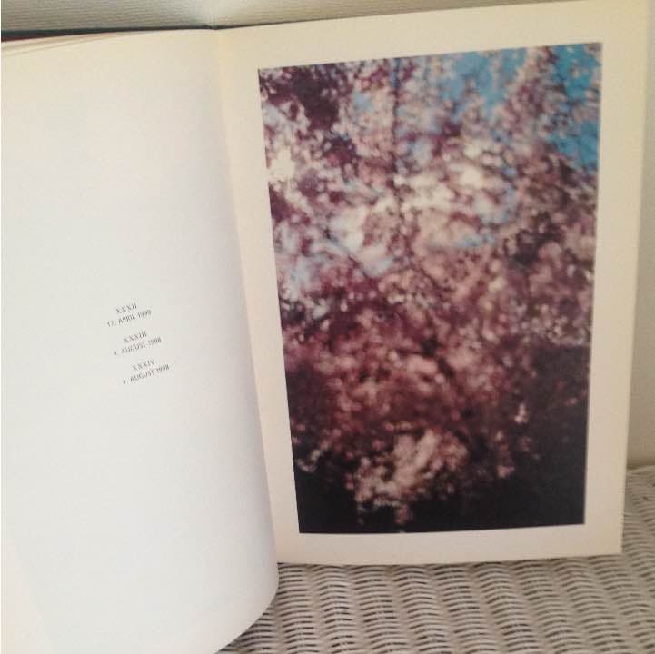 TERRI WEIFENBACH テリ・ワイフェンバック