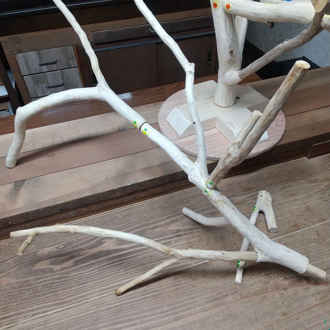 インコバードアスレチックジム楽園シリーズ⑤