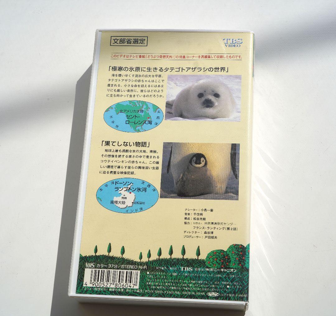 極寒の氷原、赤ちゃん誕生　動物奇想天外　タテゴトアザラシ＆コウテイペンギン