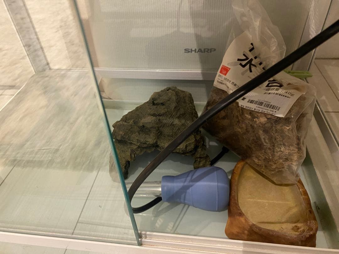 SANKO Pantheon White レオパードゲッコウ　暖突付き水槽