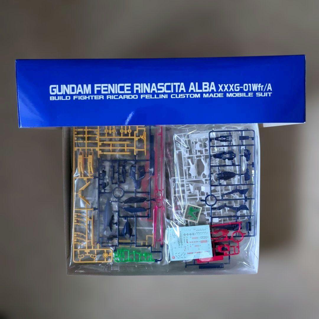 【未組立】MG 1/100 ガンダムフェニーチェリナーシタアルバ