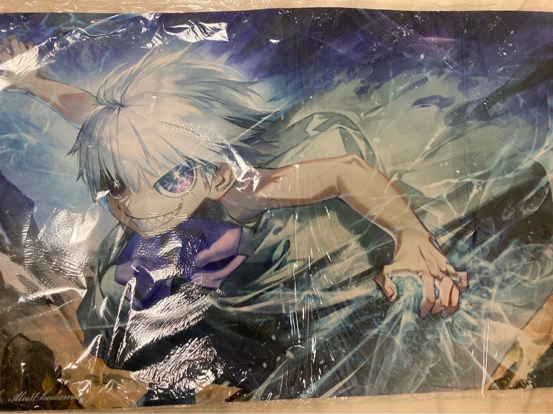 金色のガッシュ・ベル　プレイマット　ゼオン