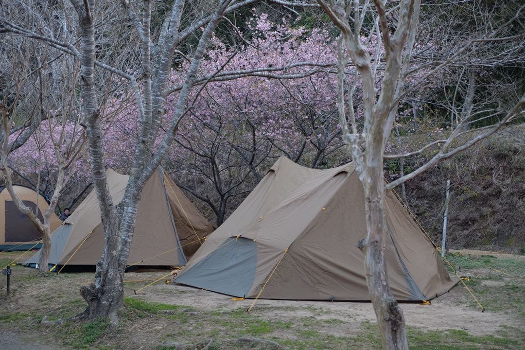 NEMO ヘキサライト 6p 純正二股化ツール付属