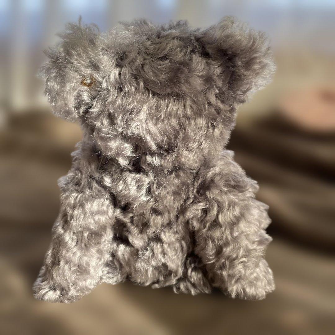 シュタイフ/Steiff◆2001年Fes限定◆「Sandey」